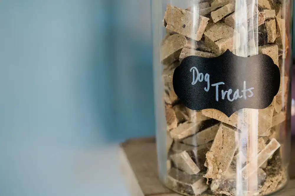 Glass jars filled with various natural dog chews and crunchy biscuits.