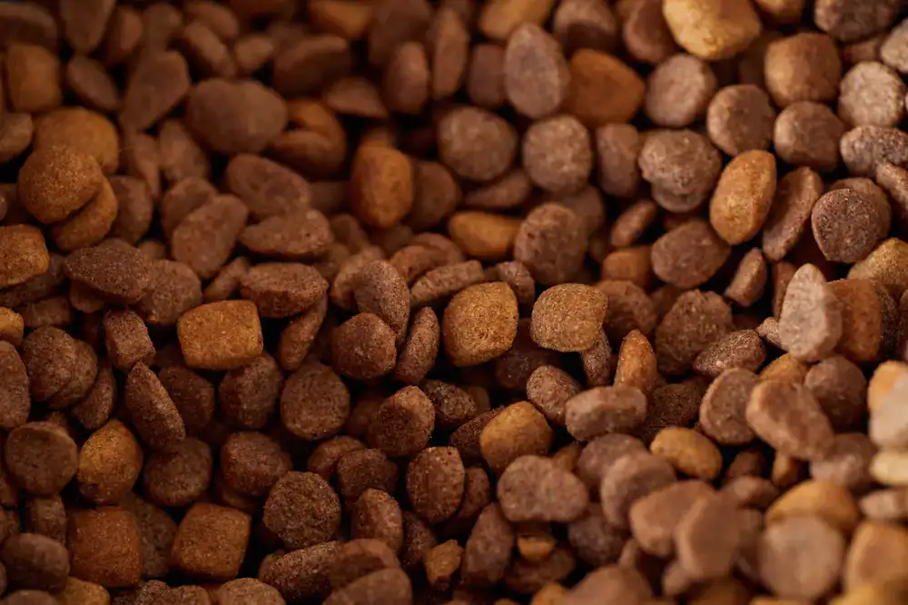 Bags of high-quality dry pet food and stacks of healthy canned food options.