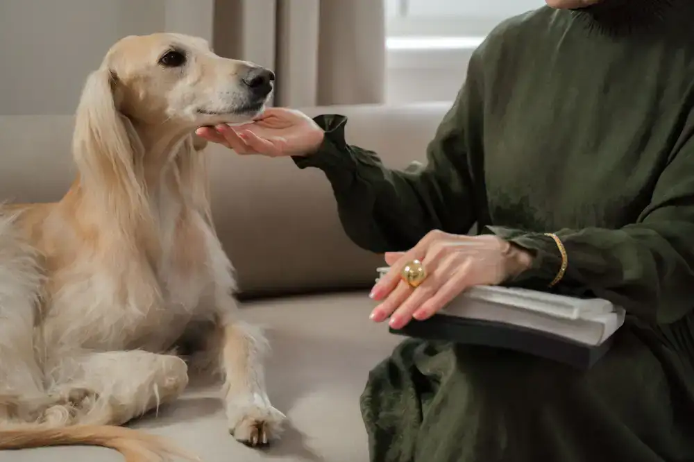 Owner reading pet care guide with their dog